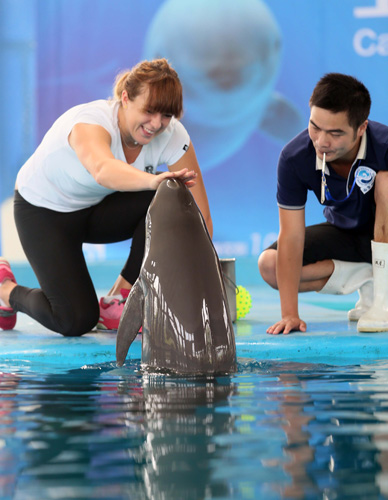 度竞争力著 度竞争力著